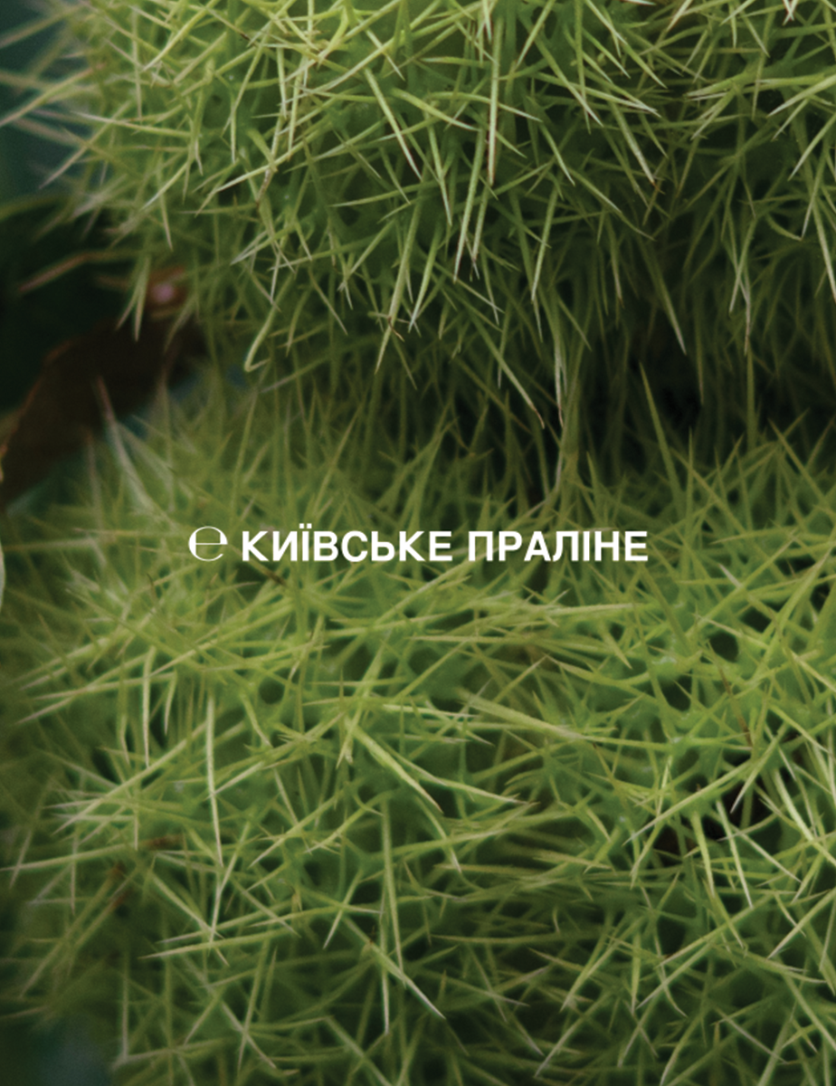 Крем для рук
